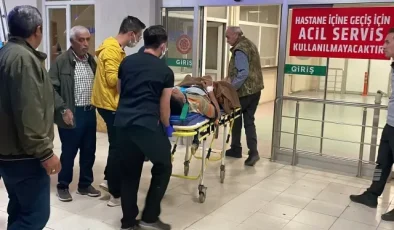 Arazi anlaşmazlığı cinayetle bitti! Eski muhtar kardeşini öldürdü, iki kişiyi yaraladı