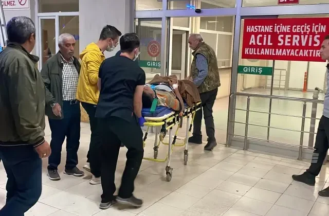 Arazi anlaşmazlığı cinayetle bitti! Eski muhtar kardeşini öldürdü, iki kişiyi yaraladı