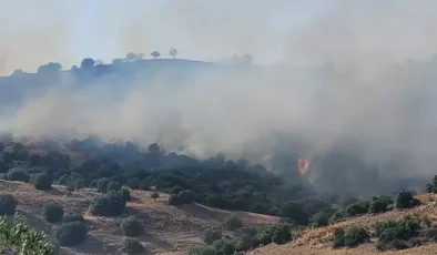 Aydın’da korkutan yangın! 3 kişi hastanelik oldu