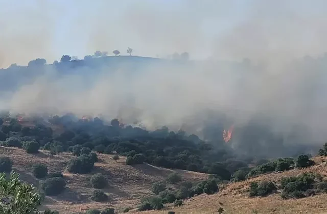Aydın’da korkutan yangın! 3 kişi hastanelik oldu