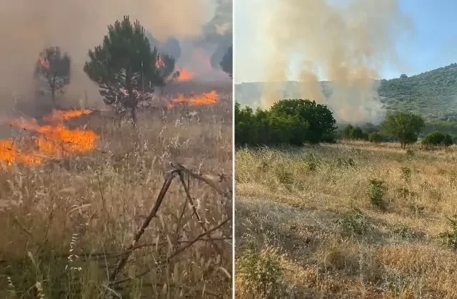 Balıkesir’de tarım arazisinde yangın! Alevlere müdahale devam ediyor
