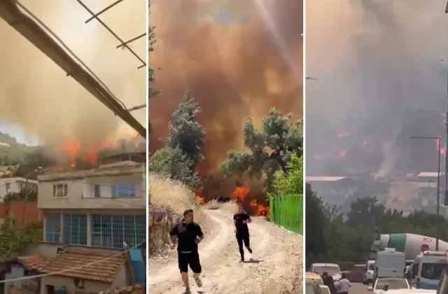 Bursa’da orman yangını! Alevler evlere sıçradı