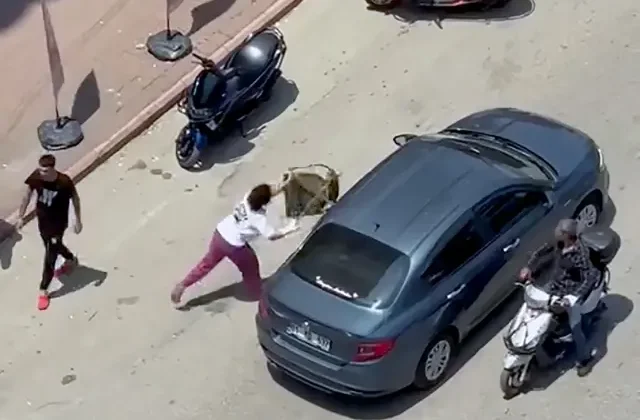 Dayı ve yeğenin miras kavgasında kan aktı