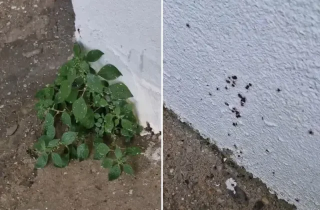 “Dikkat edin” diyerek paylaştı! İstanbul’dan endişe yaratan görüntü