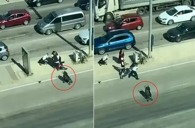 Dilencilerin kavgası nasıl sömürüldüğümüzü ortaya çıkardı