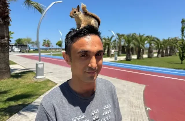 Doğada yaralı bulduğu sincap, en yakın arkadaşı oldu