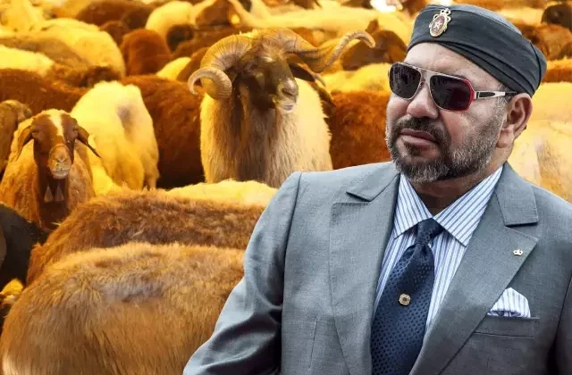 Fas’ta kurban pazarları kapatıldı! Sadece Kral sembolik kesim yapacak