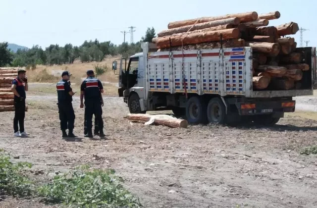 Gümüşhane’de başına tomruk düşen işçi hayatını kaybetti