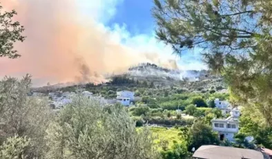 Hatay’da orman yangını! 1800 kişi tahliye edildi, 60 ev zarar gördü