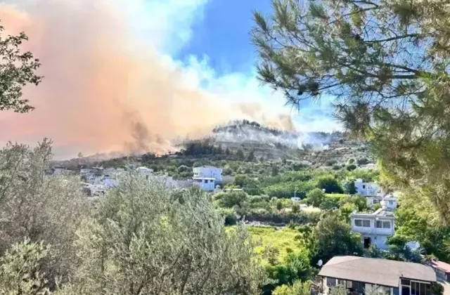 Hatay’da orman yangını! 1800 kişi tahliye edildi, 60 ev zarar gördü