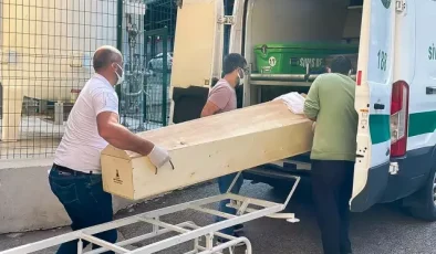 İstanbul’da kene vakalarında artış! 6-7 bin kişi hastaneye başvurdu