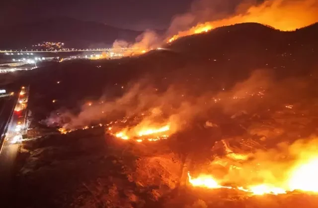 İzmir’de yine orman yangını: Bir kişi gözaltına alındı