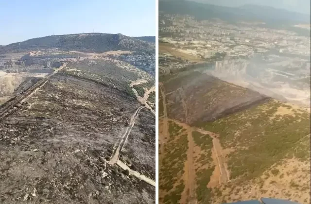 İzmir’de korkutan orman yangını!