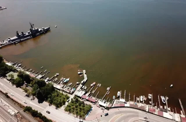 İzmit Körfezi’nde denizin rengi kahverengiye döndü