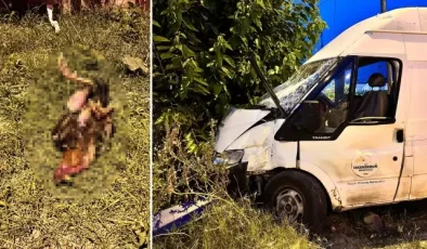 Kazada telef olan horozu hayata döndürmek için kalp masajı yaptı
