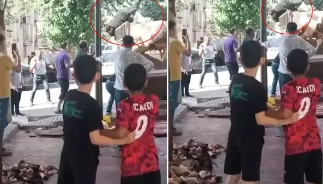 Kızgın boğa kasaba hayatının kabusunu yaşattı