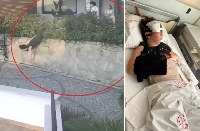 Komşu kavgası feci bitti, doktorun iteklediği kadın ağır yaralandı