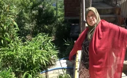 Mahalle sakininden kamış isyanı: Bir kaç sene sonra köy kapanır