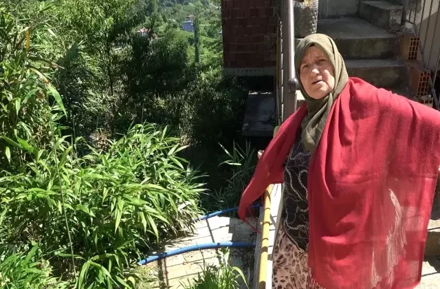 Mahalle sakininden kamış isyanı: Bir kaç sene sonra köy kapanır