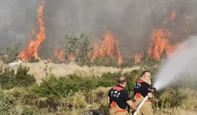 Manisa’daki orman yangınına neden olan kişi tutuklandı