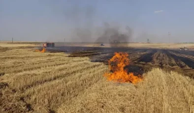 Mardin’de orman yangını rüzgarın etkisiyle büyüdü!