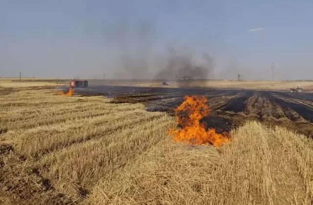 Mardin’de orman yangını rüzgarın etkisiyle büyüdü!