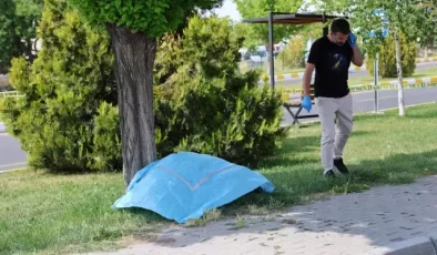 Önce annesinin mezarını ziyaret etti, sonra canına kıydı