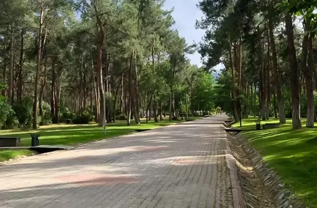 Parkta oturan genç kızları önce takip sonra taciz etti