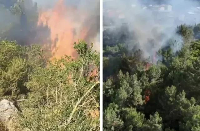 İstanbul’da orman yangını! Aydos’tan alevler yükseldi