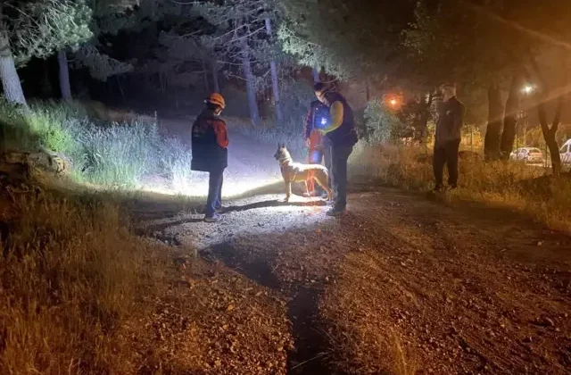 Pendik’te esrarengiz olay! Ormana girdi bir daha haber alınamadı