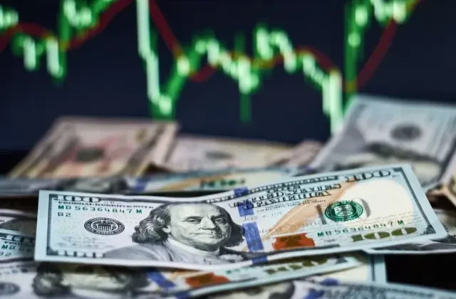 Platin yüzde 40’la bu yıl en fazla değer kazanan ürün oldu