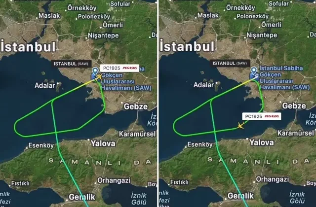 Sabiha Gökçen Havalimanı’nda sürpriz misafir! Uçak pisti pas geçti
