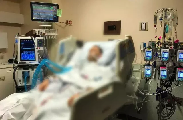 Sağlık Bakanlığı’ndan “kene” uyarısı: Sadece hayvandan değil insandan da bulaşıyor