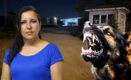 Saldırgan köpekleri almaya giden muhtarı bahçeye kilitlediler