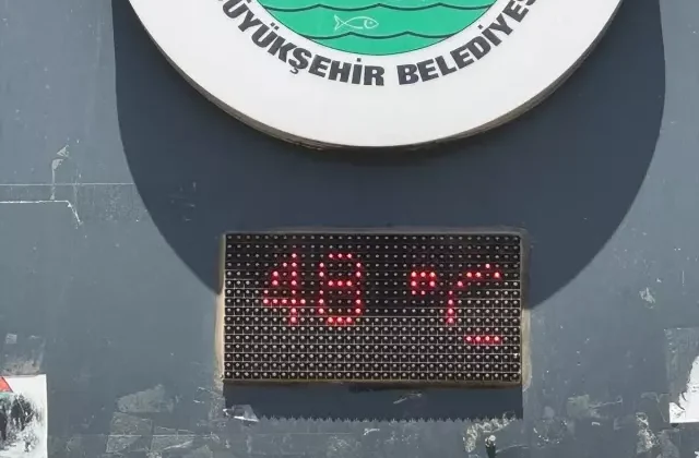 Afrika değil Türkiye! Bu fotoğraf az önce çekildi