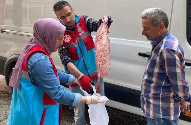 Sinop’ta kaçak avlanan 363 kalkan balığı vatandaşa dağıtıldı