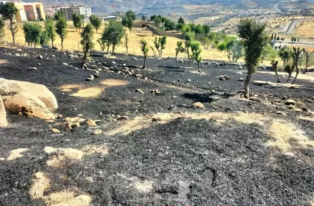 Menemen yapmak isteyen çocuklar, yangına neden oldu