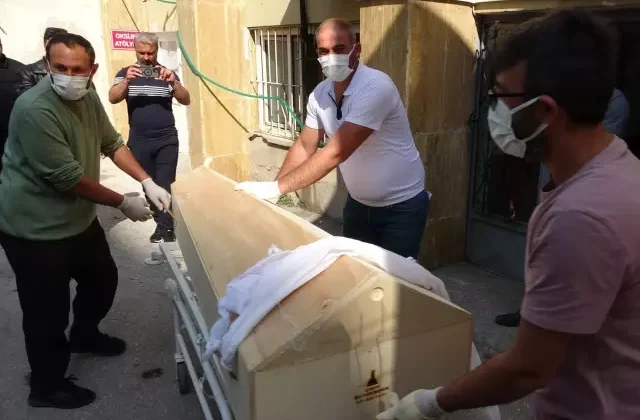 Sivas’ta kene 2 can daha aldı
