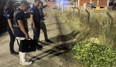 Ticaret Bakanlığı’ndan Kocaeli’de boş araziye salatalık döken kişiye dev ceza