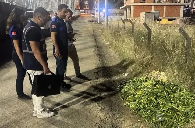 Ticaret Bakanlığı’ndan Kocaeli’de boş araziye salatalık döken kişiye dev ceza