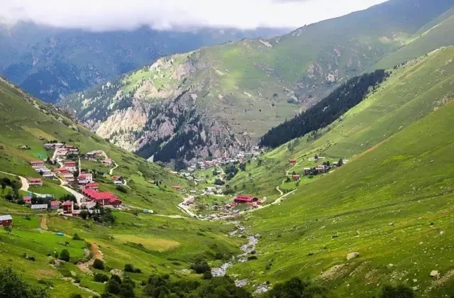 Trabzon’da yaylaya çıkan 75 kişi kayboldu
