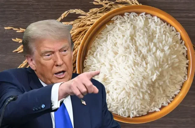 Trump, ABD’den pirinç almayan Japonya’yı tarife uygulamakla tehdit etti