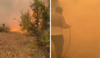 Türkiye yangınlarla boğuşuyor! Gelen görüntüler yürek burktu
