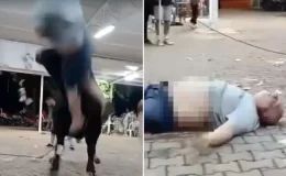 Yanına yaklaştığı boğa havaya fırlattı