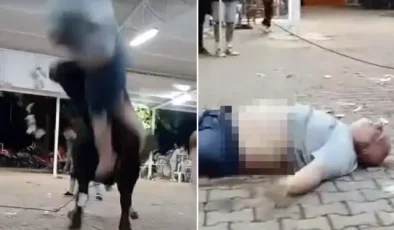 Yanına yaklaştığı boğa havaya fırlattı