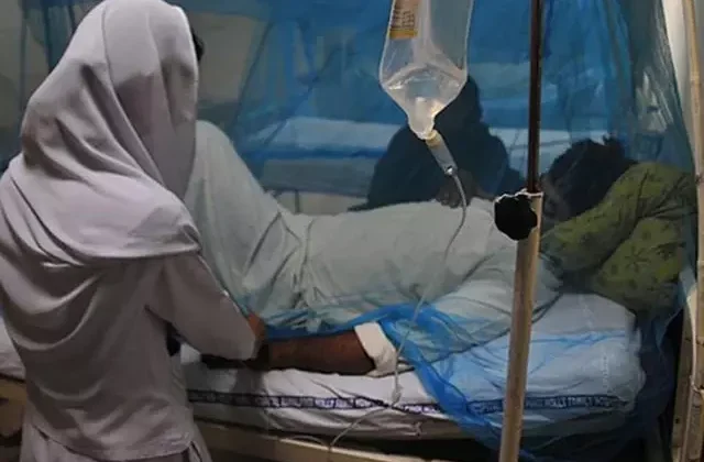 Zimbabve’de sıtma salgını korkunç boyutta: 317 kişi hayatını kaybetti