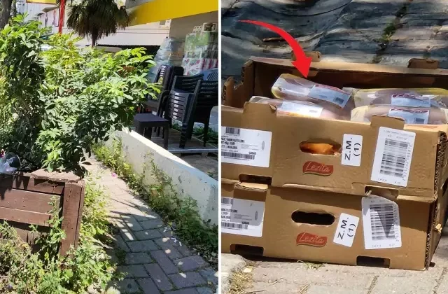 Zincir markette skandal! Tavukları güneşin altında beklettiler