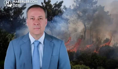 AK Parti Sakarya Milletvekili Murat Kaya: Yangınlarda sabotaj değil ihmal şüphesi öne çıkıyor