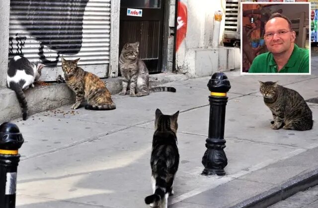 Akciğerine kedi tüyü kaçan adam hayatını kaybetti