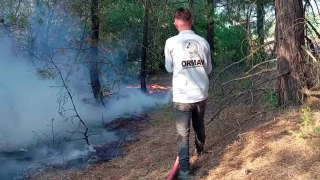 Amasya’da orman yangını! 10 dekarlık alan zarar gördü